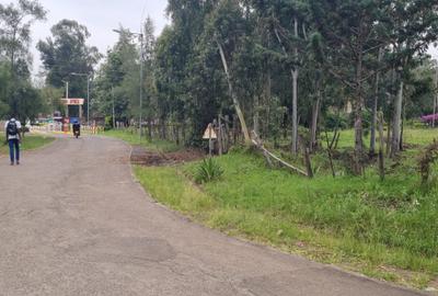 Land in Hurlingham