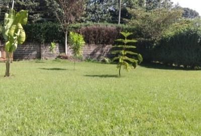 4 Bed House with Garden at Karen - 2