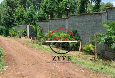 0.125 ac Land at Kanunga Kiambu Road - 2