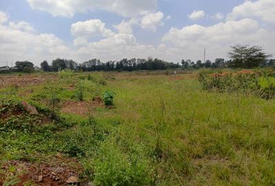 Land in Muthaiga