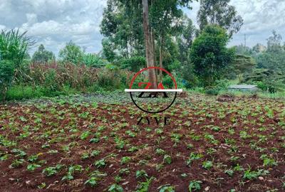 0.125 ac Land at Off Ruaka Banana Road - 3