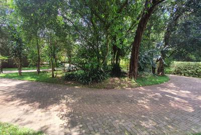4.5 ac Residential Land at Koitobos - 2