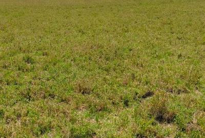 Land in Kitengela - 3