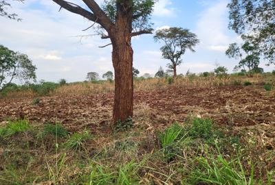 Residential Land in Ruiru - 3