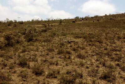 5.5 ac Land at Mai Mahiu