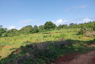 Residential Land at Mtondia Kilifi