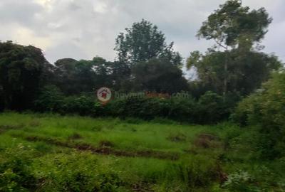 Land at Ndovu Lane