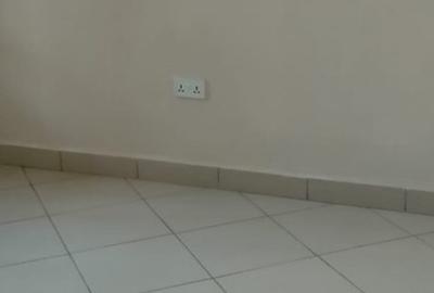 1 Bed Apartment with Borehole in South B