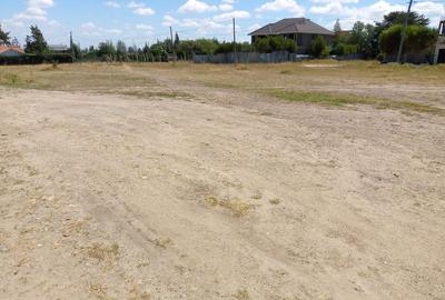 Residential Land at Chuna - 4