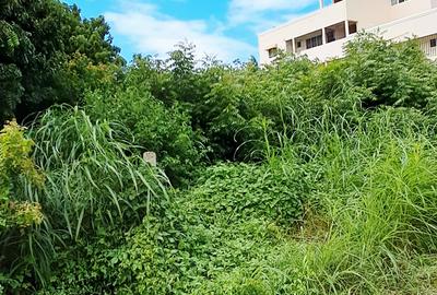 Land at Malindi - 2