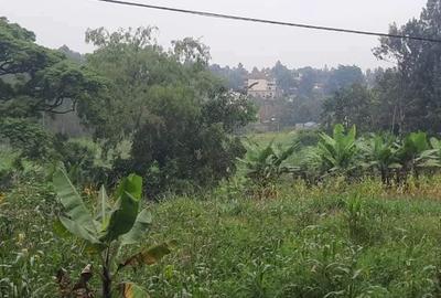 Residential Land at Thidingua