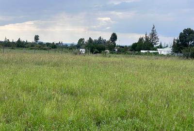 Residential Land in Nanyuki