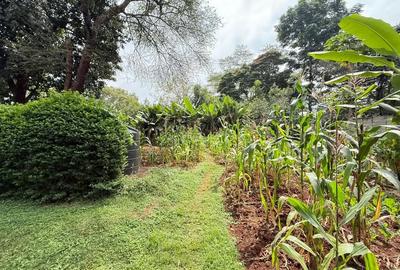 Land at New Kitisuru - 2