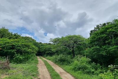 15 ac Land at Kuruwitu