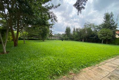 Commercial Land in Lavington