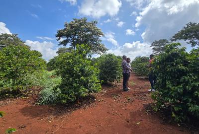 0.25 ac Residential Land in Runda