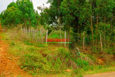 0.05 ha Residential Land at Nguirubi - 2