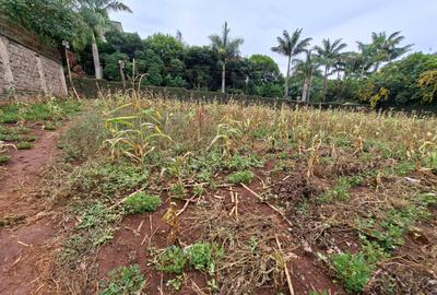 Residential Land in Runda