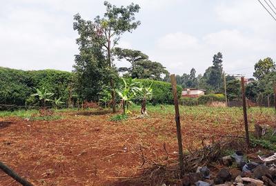 0.25 ac Land in Kinoo