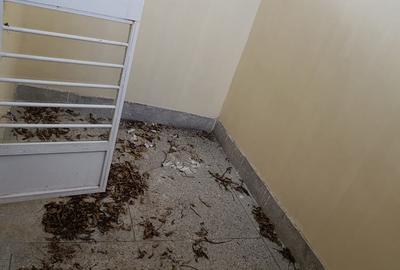 1 Bed House with Staff Quarters in Lavington - 4