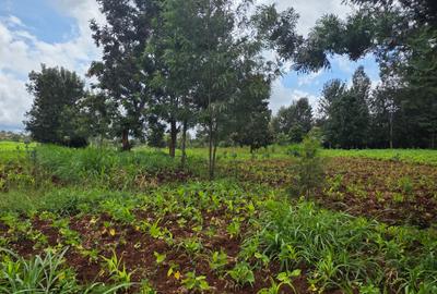 Commercial Property with Service Charge Included at Mutuini Primary - 3
