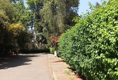 5 Bed Townhouse with En Suite in Lavington - 4