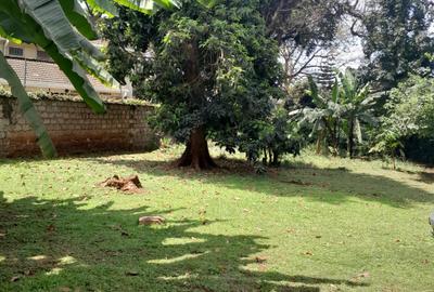 0.62 ac Land at Westlands Avenue