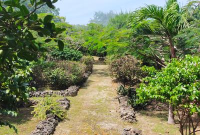 3 Bed House with En Suite in Vipingo - 4