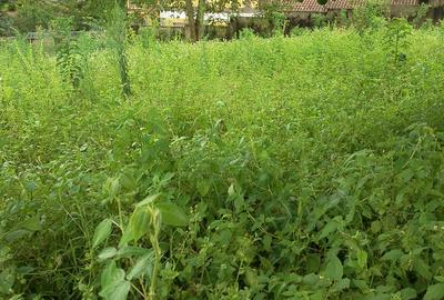 Land in Kitisuru - 3