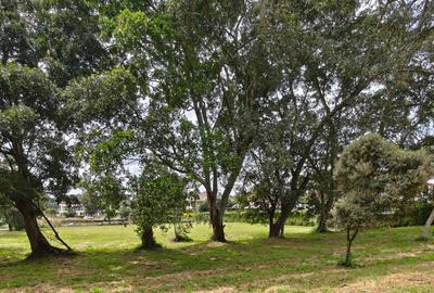 1 ac Land in Karen