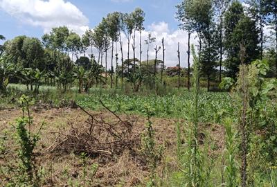 0.125 ac Residential Land at Ruaka - Banana - Kiambaa