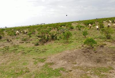 Land in Nanyuki