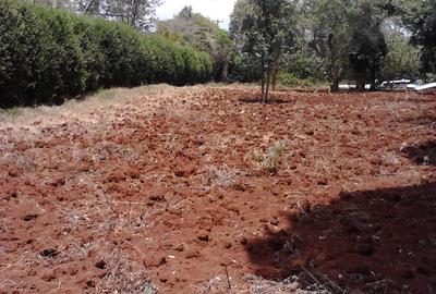 Residential Land at Runda - 4