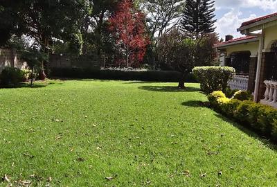 4 Bed House with En Suite in Rosslyn - 4