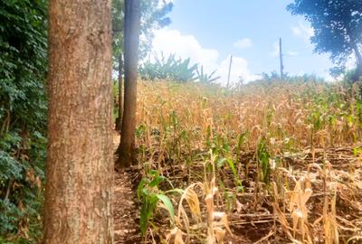 0.25 ac Commercial Land at Muthiga