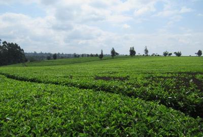 Commercial Land at Kiambu Road