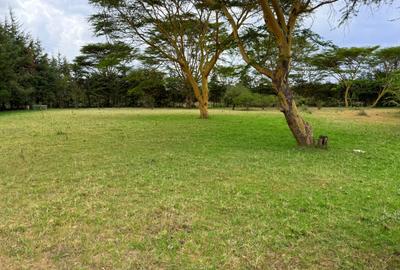 19 ac Land in Narok
