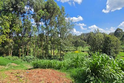 Residential Land in Kitisuru - 4