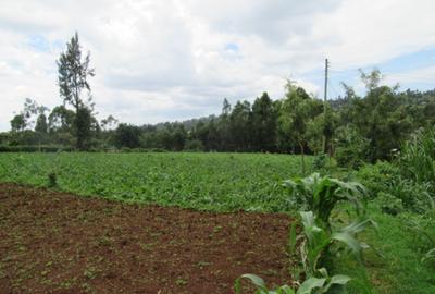 3.25 ac Land at Ngecha-Wangige Rd