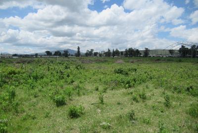 Land at Moi South L Ake Rd - 4