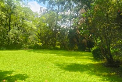 Residential Land at Ndege Road - 2