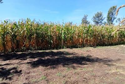 10 ac Land at Off Naivasha-Nakuru Highway