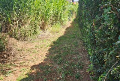Land at