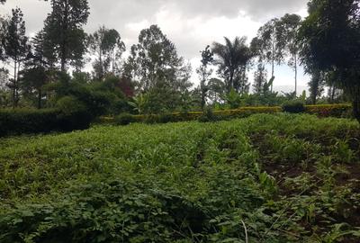 1.25 ac Land in Ngong