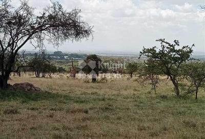 Land at Maanzoni