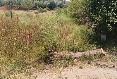 1.359 ac Land at Olooltepes