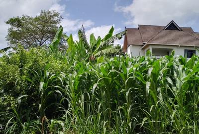 0.25 ac Residential Land at River Side Drive - 3