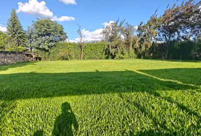 0.5 ac Commercial Land in Karen - 2