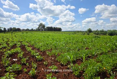 10 ac Land at New Kitisuru - 4
