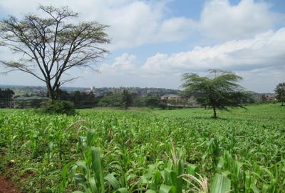 Land at Ngong Town